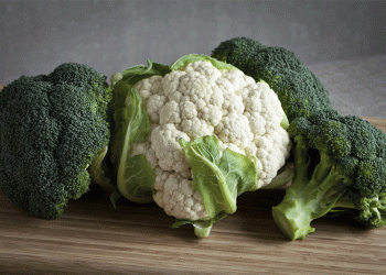 Top 5 Cauliflower Varieties to Cultivate in October for High Yields