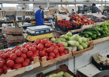 Tax Breaks for Vegetable Farmers in Sverdlovsk Region: A Step Towards Sustainable Agricultural Growth