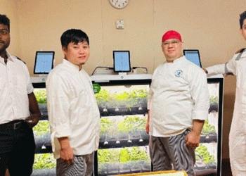 Synergy Marine Group Brings Autonomous Vegetable Growing to Ships: A New Era for Sustainable Maritime Living