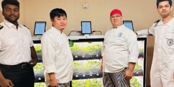 Synergy Marine Group Brings Autonomous Vegetable Growing to Ships: A New Era for Sustainable Maritime Living