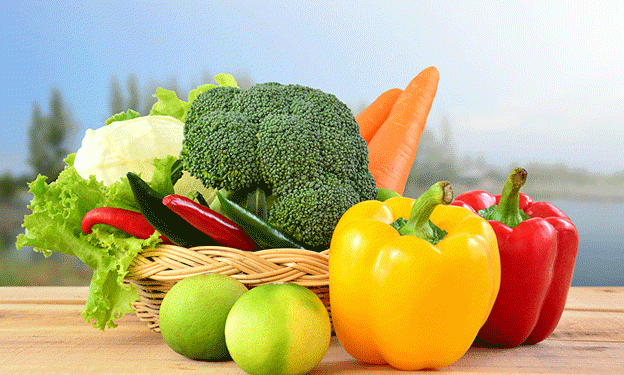 Penza Region: A Model of Self-Sufficiency in Vegetables and Potatoes