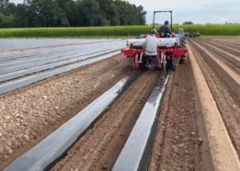 Solar Shrink® Mulch Film: The Game-Changer in Agricultural Plastic Use Debuting at expoSE 2024