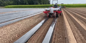 Solar Shrink® Mulch Film: The Game-Changer in Agricultural Plastic Use Debuting at expoSE 2024