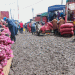 Why Marikiti Onion Traders Are Resisting Relocation to Kangundo Road Market