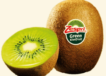 Zespri’s Northern Hemisphere Kiwi Season: What It Means for Global Supply and Grower Returns