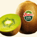 Zespri’s Northern Hemisphere Kiwi Season: What It Means for Global Supply and Grower Returns