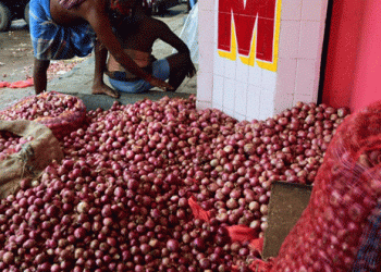 Onion Prices Soar in Chennai: Will Relief Come with the January Harvest?