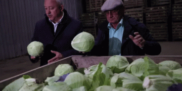 Record Vegetable Harvest in Sverdlovsk Oblast: A Boon for Local Agriculture