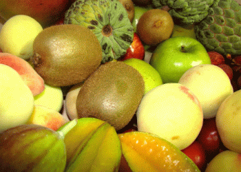 Chilean Fruit Export Season 2023/24: Record-Breaking Growth in Volume and Value Marks a Milestone Year