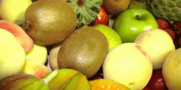 Chilean Fruit Export Season 2023/24: Record-Breaking Growth in Volume and Value Marks a Milestone Year