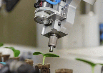 Rijk Zwaan Celebrates Centenary with Record Growth and Future-Focused Investments