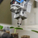 Rijk Zwaan Celebrates Centenary with Record Growth and Future-Focused Investments