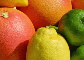Expanding Horizons: Peru’s Citrus Industry Gains Ground in Brazil