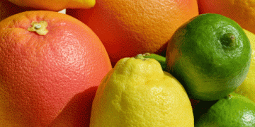 Expanding Horizons: Peru’s Citrus Industry Gains Ground in Brazil