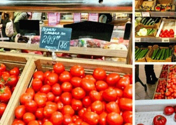 Who Ate the Kaliningrad Tomatoes? The Disappearance of Local Produce and Why Imported Veggies Don’t Cut It