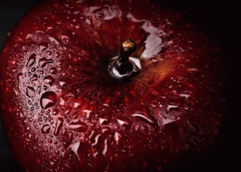 Frost’s Impact on Austria’s Apple Harvest: A Challenging Season for Farmers