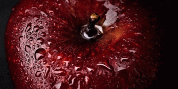 Frost’s Impact on Austria’s Apple Harvest: A Challenging Season for Farmers