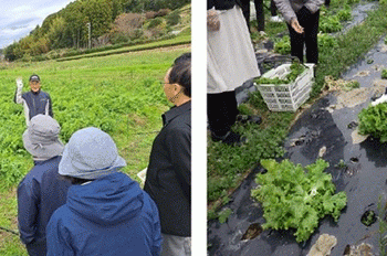 Exploring Organic Farming in the Heart of Shizuoka: A Farm Tour and Lunch Experience