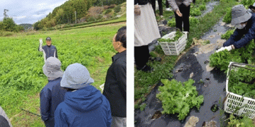 Exploring Organic Farming in the Heart of Shizuoka: A Farm Tour and Lunch Experience