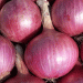 Onion Mandi Prices Drop by 50% Amid Fresh Arrivals: Impact on Farmers and Export Demand