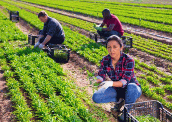 Appellando Launches First Trainings in Spain: Enhancing Worker Welfare in Agriculture