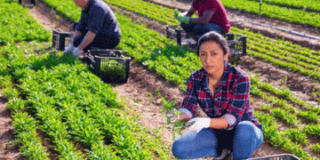 Appellando Launches First Trainings in Spain: Enhancing Worker Welfare in Agriculture
