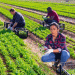 Appellando Launches First Trainings in Spain: Enhancing Worker Welfare in Agriculture