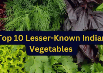 Top 10 Lesser-Known Indian Vegetables: Boosting Nutrition and Culinary Variety