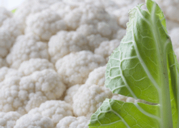 European Produce Markets: Seasonal Trends and Price Movements in 2024