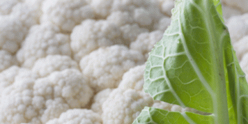 European Produce Markets: Seasonal Trends and Price Movements in 2024
