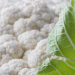 European Produce Markets: Seasonal Trends and Price Movements in 2024