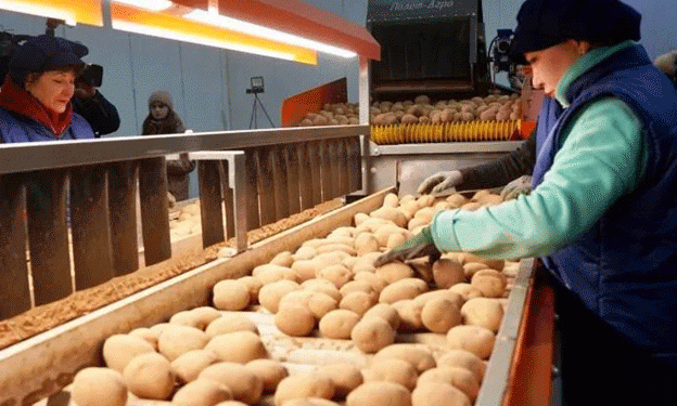 From Field to Shelf: How Astrakhan’s Agroaggregator is Revolutionizing Farm-to-Market Logistics