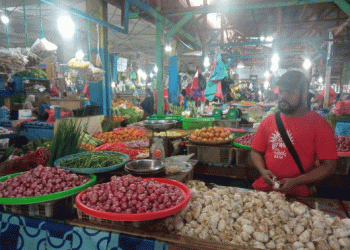 Addressing Inflation in Papua: The Role of Agricultural Commodities