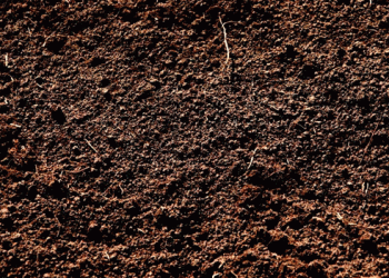 Organic Vegetables Propel Growth: A Key Driver Transforming the Potting Soil And Mixes Market in 2024