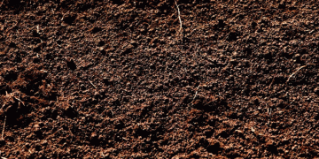 Organic Vegetables Propel Growth: A Key Driver Transforming the Potting Soil And Mixes Market in 2024