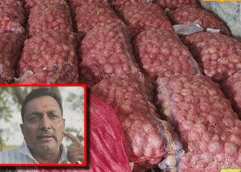 A 6th-Grade Graduate Revolutionizes Onion Farming: Harvesting 10 Tons from 1 Bigha