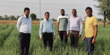 Pusa Riddhi Onion Variety: Boosting Yields and Farmer Incomes under the TSP Scheme