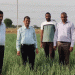 Pusa Riddhi Onion Variety: Boosting Yields and Farmer Incomes under the TSP Scheme