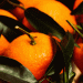 Rising Demand for Italian Clementines: Market Insights and Challenges