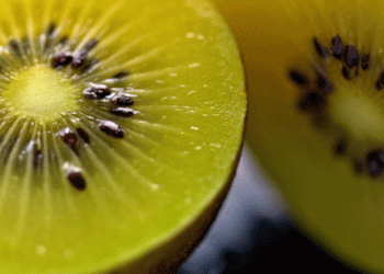 Georgia’s Kiwi Boom in Japan: Opportunities and Challenges Amid Controversy