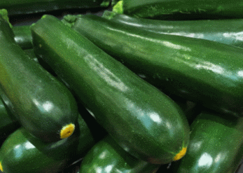 Pesticides in Focus: DDT in Organic Zucchini and Turkish Tomatoes Destroyed at EU Borders