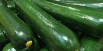 Pesticides in Focus: DDT in Organic Zucchini and Turkish Tomatoes Destroyed at EU Borders