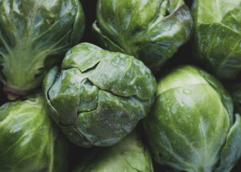 How to Preserve the Nutritional Value and Color of Vegetables During Winter Cooking