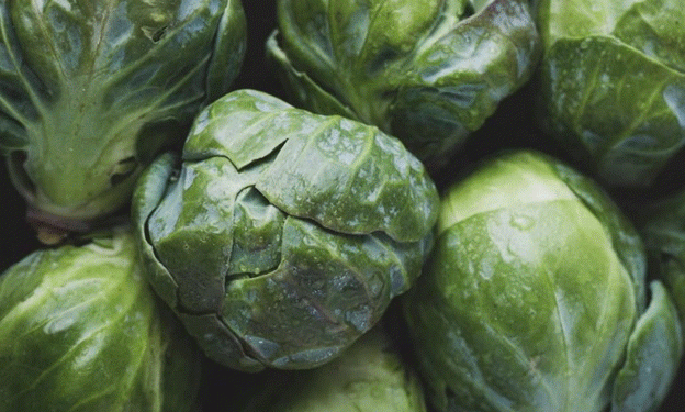 How to Preserve the Nutritional Value and Color of Vegetables During Winter Cooking