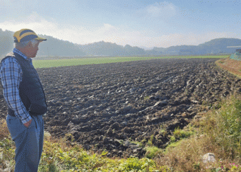 Garlic and Onion Farmers Grapple with Delayed Planting Amid Unpredictable Weather