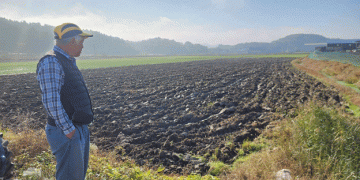 Garlic and Onion Farmers Grapple with Delayed Planting Amid Unpredictable Weather