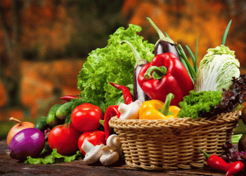 Will Vegetable Prices in Russia Drop in 2024? Insights and Predictions