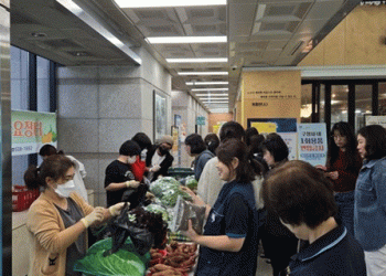 The Success of Bupyeong’s Farmer’s Market: A Model for Community Empowerment Through Agriculture