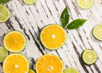 Andalusia’s Citrus Season 2024/25: A Boost for Farmers and the Regional Economy