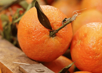Mandarins and Clementines: Market Trends for Week 48